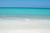 IMG_4844  Shuabb, Socotra